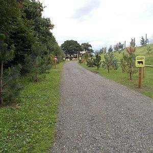 Polar Bear Exhibit Entrance Pathway - 15.08.2014