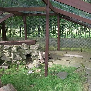 Raccoon Dog Ridge, 13th August 2014