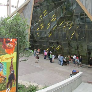 Orangutan Center