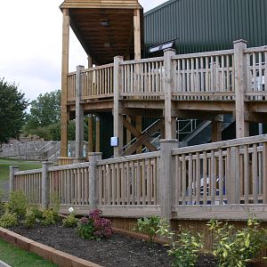 Orangutan Outlook at Blackpool Zoo, 16/08/14