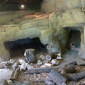 Aardvark Exhibit at Blackpool Zoo, 16/08/14
