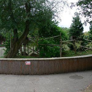 Red Panda Exhibit at Blackpool Zoo, 16/08/14.