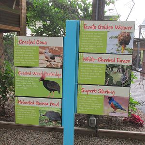 Indy Zoo Aviary List