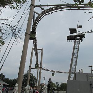 Orang Center (from cafe)