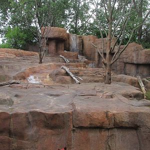 Forests - Bear Cement Field