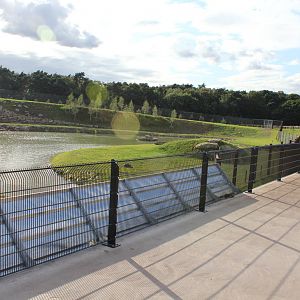 Polar Bear enclosure 19-8-14