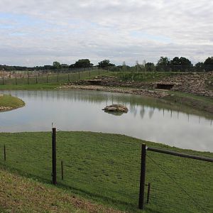 Polar Bear enclosure 19-8-14