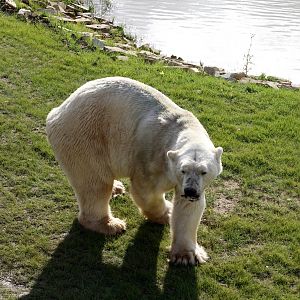 Victor with his supper 19-8-14