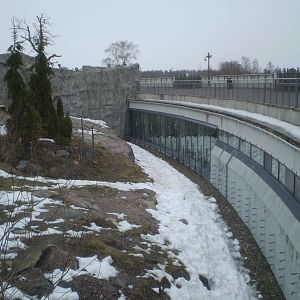 Brown bear enclosure
