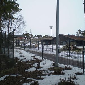 Korkeasaari Helsinki Zoo