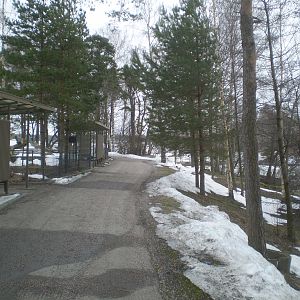 Korkeasaari Helsinki Zoo