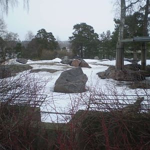 Korkeasaari Helsinki Zoo