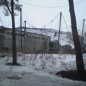 Steller's sea eagle aviary