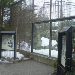 Snow leopard enclosure