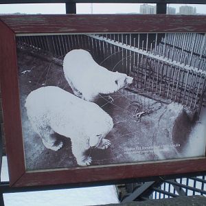 Old polar bear enclosure