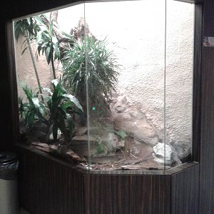 Snake enclosure