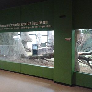 Komodo dragon enclosure
