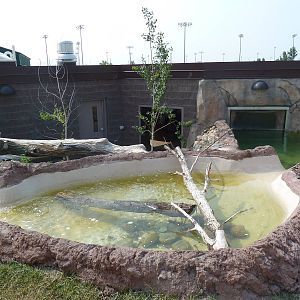 North American River Otter Exhibit