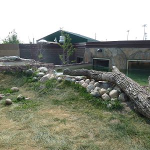 North American River Otter Exhibit