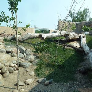 North American River Otter Exhibit