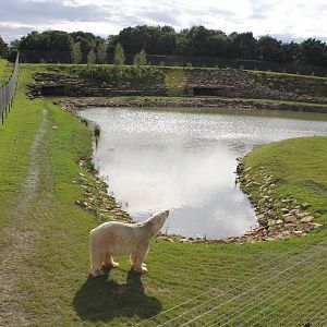 Master of all he surveys. 19-8-14