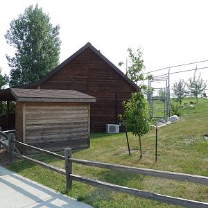 Grey Wolf Exhibit - Cabin Exterior