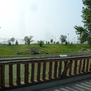 Grey Wolf Exhibit - Viewing Deck