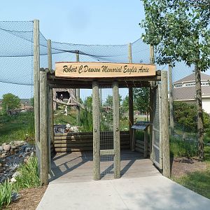 Bald Eagle/Golden Eagle Exhibit