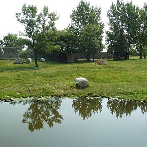 White-Tailed Deer/Mule Deer Exhibit