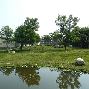 White-Tailed Deer/Mule Deer Exhibit