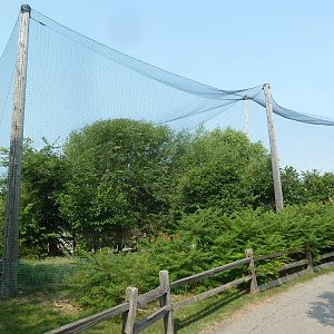 Walk-Through Aviary