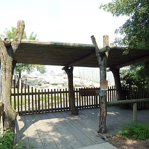 Sichuan Takin Exhibit