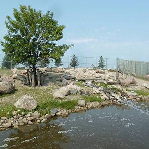 Sichuan Takin Exhibit