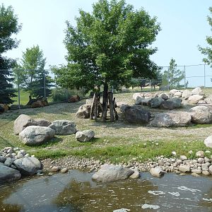Sichuan Takin Exhibit
