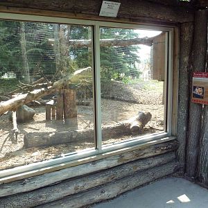 Eurasian Red Squirrel Exhibit