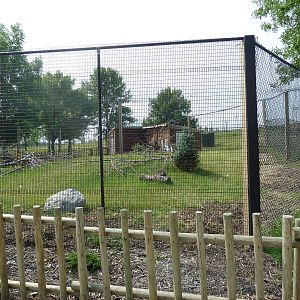 White-Naped Crane Exhibit