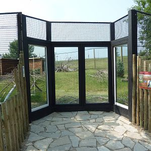 White-Naped Crane Exhibit