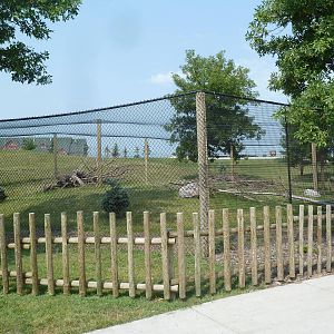 White-Naped Crane Exhibit