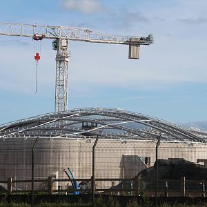 Progress on Monsoon Forest