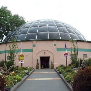 Reptile Dome