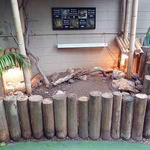 Walk-Through Jungle - Tortoise Enclosure