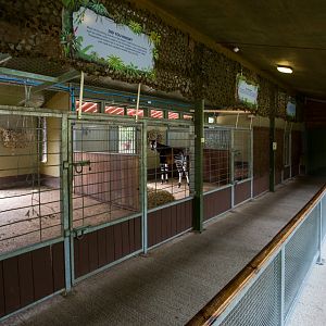 Okapi housing : Marwell : 08 Aug 2014