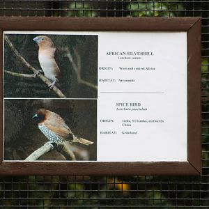 New signage, 16th August 2014