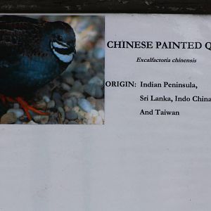 New signage, 16th August 2014