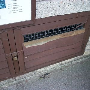 Grrrrrrrrrrrrrrrrrrrrrrrr!!!! 17th August 2014