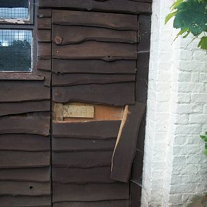 Once upon a time I was falling in love.................. 17th August 2014