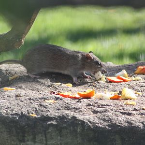 Enjoy it while you can, 4th August 2014