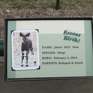 Okapi Signage