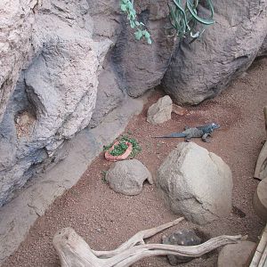 Deserts Building Interior