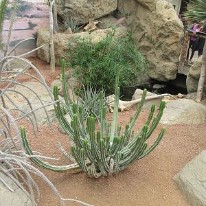 Deserts Building Interior